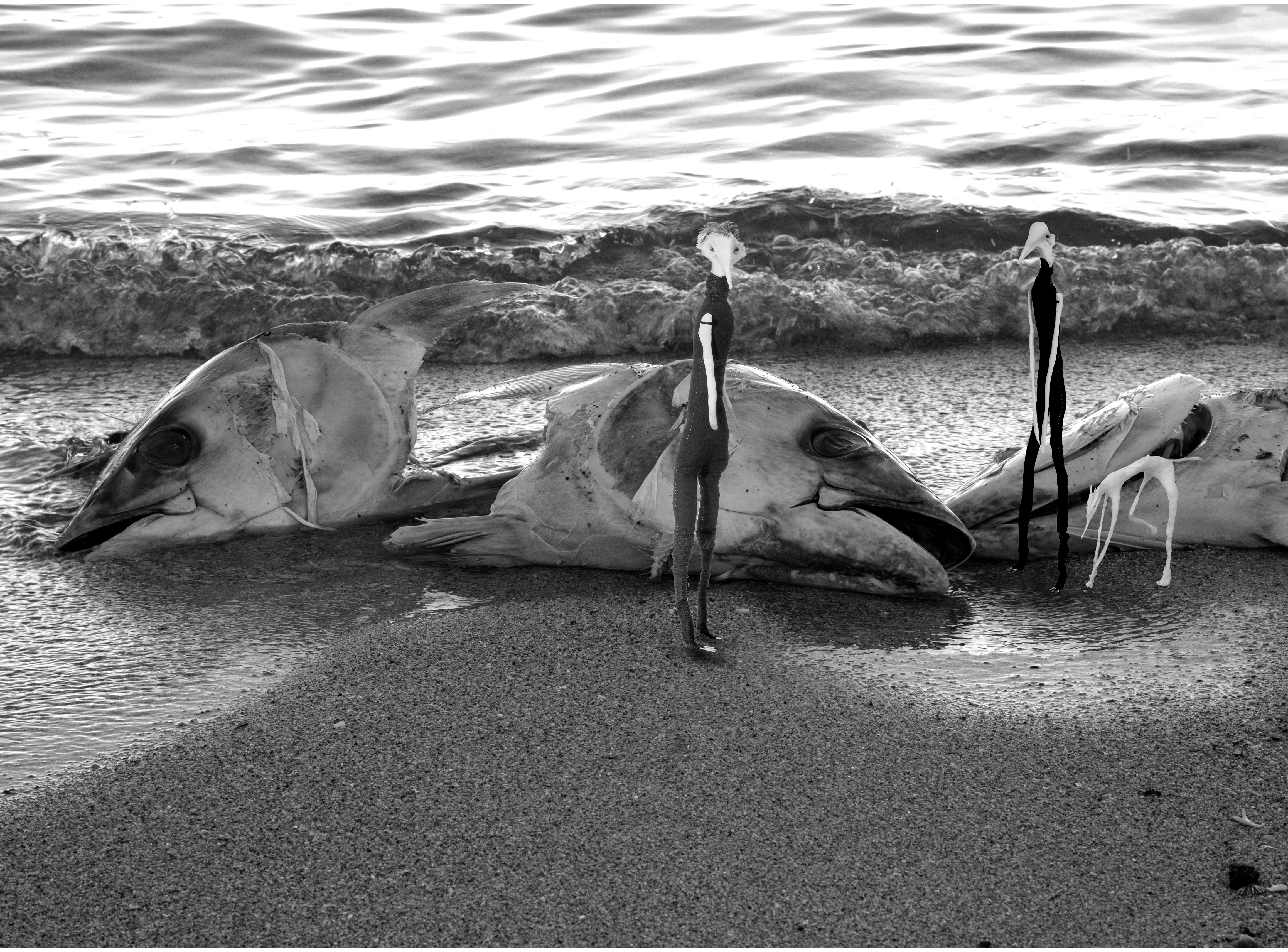 Three fish digital print